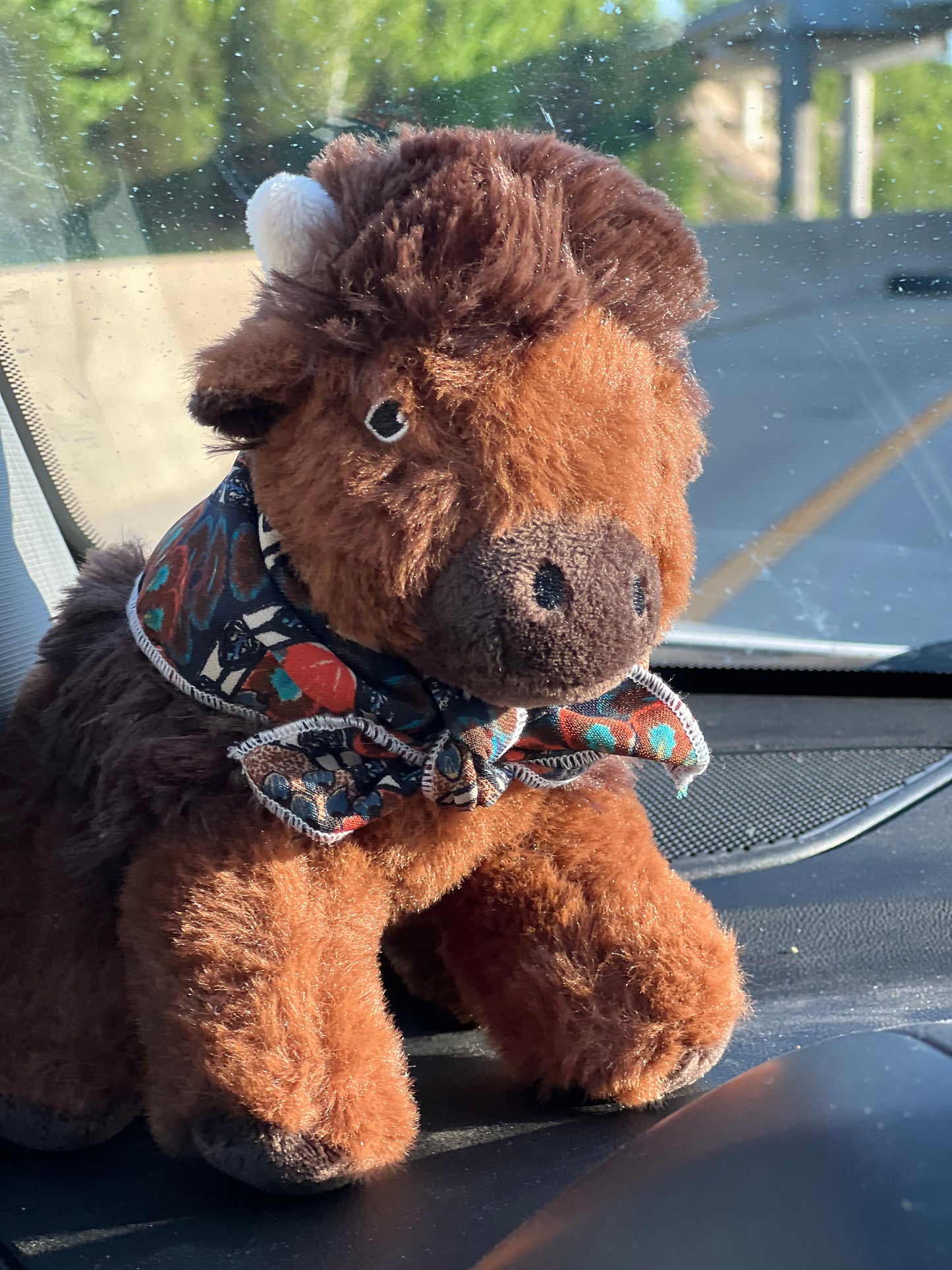 Addi the traveling Buffalo